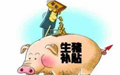 [养猪贷款]2021年生猪养殖贷款政策。养猪贷款手续流程