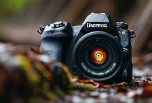 松下S5相机拍摄断电MDT文件如何修复为MOV格式-稳快客专业修复指南-创业小能手网