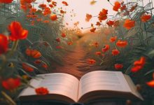 小红书SEO优化全攻略：从零开始，快速提升排名-创业小能手网