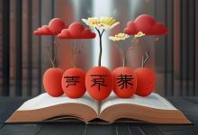 小红书SEO优化指南：快速排名的秘诀，新手必看-创业小能手网