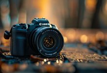 佳能R6相机DAT文件损坏怎么办？专业修复MP4格式的方法-佳能R6DAT文件修复教程-创业小能手网