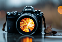 尼康Z5II相机MDT文件无法播放？专业修复MP4格式的方法-创业小能手网