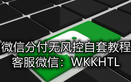 微信分付怎么自己套出来-高级教程插图2 微信分付怎么提现出来,微信分付如何提现,微信分付如何取现