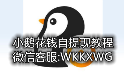 小鹅花钱有额度借不出来解决方法,揭秘小鹅花钱为什么审核不通过,小鹅花钱为什么交易失败